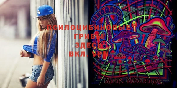 мяу мяу мука Алексеевка