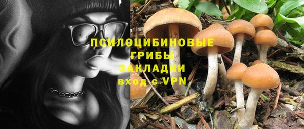 индика Алзамай