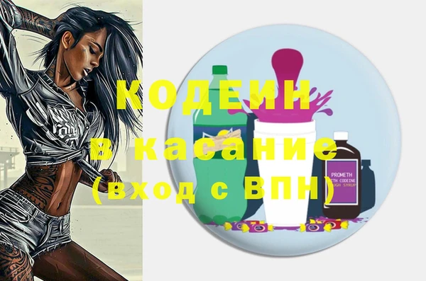 индика Алзамай